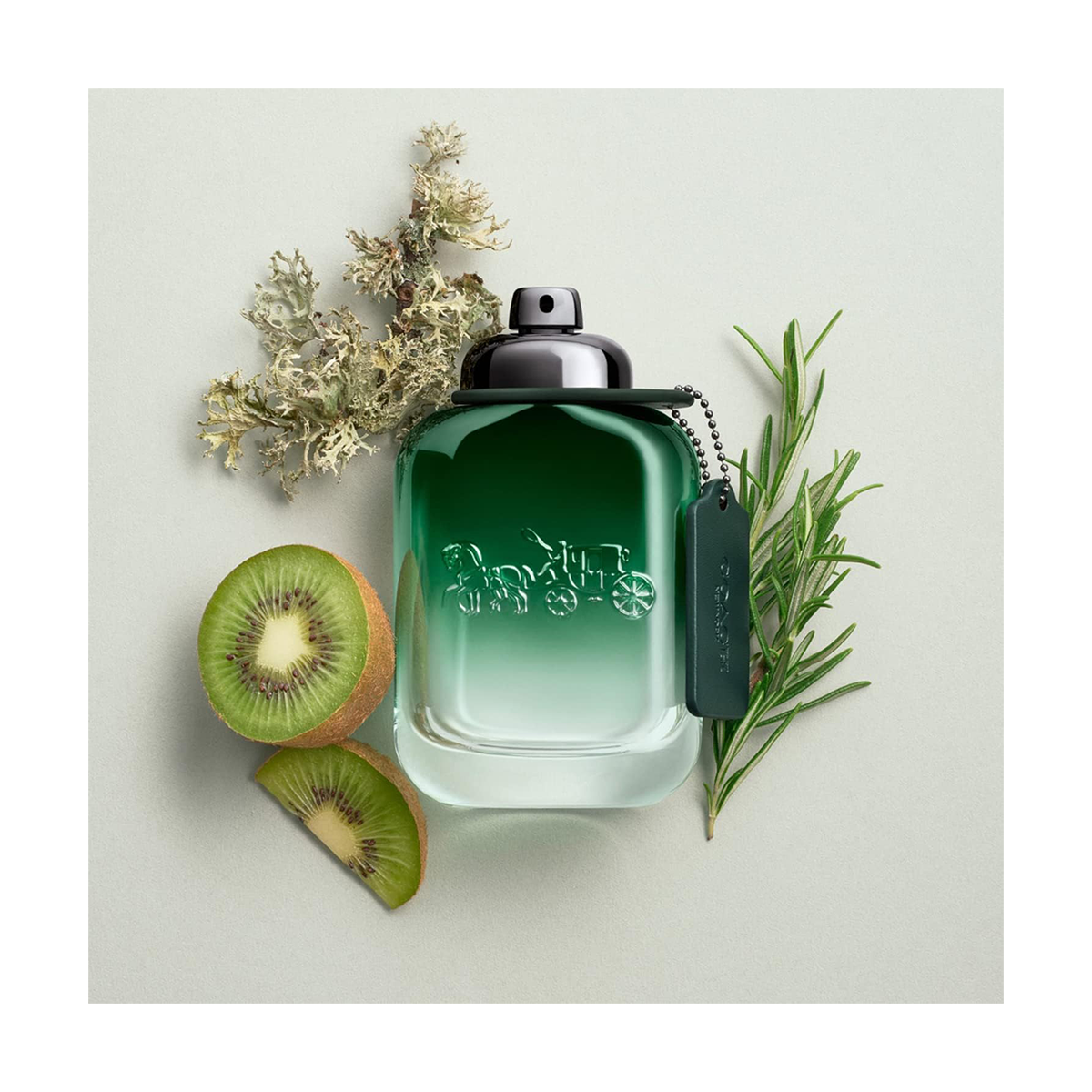 COACH GREEN EDT 100ML