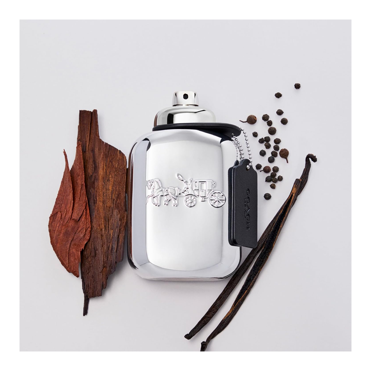 COACH PLATINUM EDP 60ML