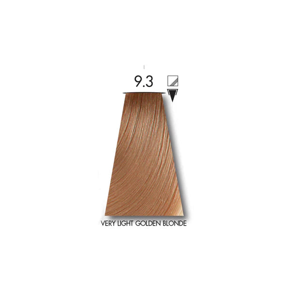 KEUNE TINTA H COLOR 09 Series