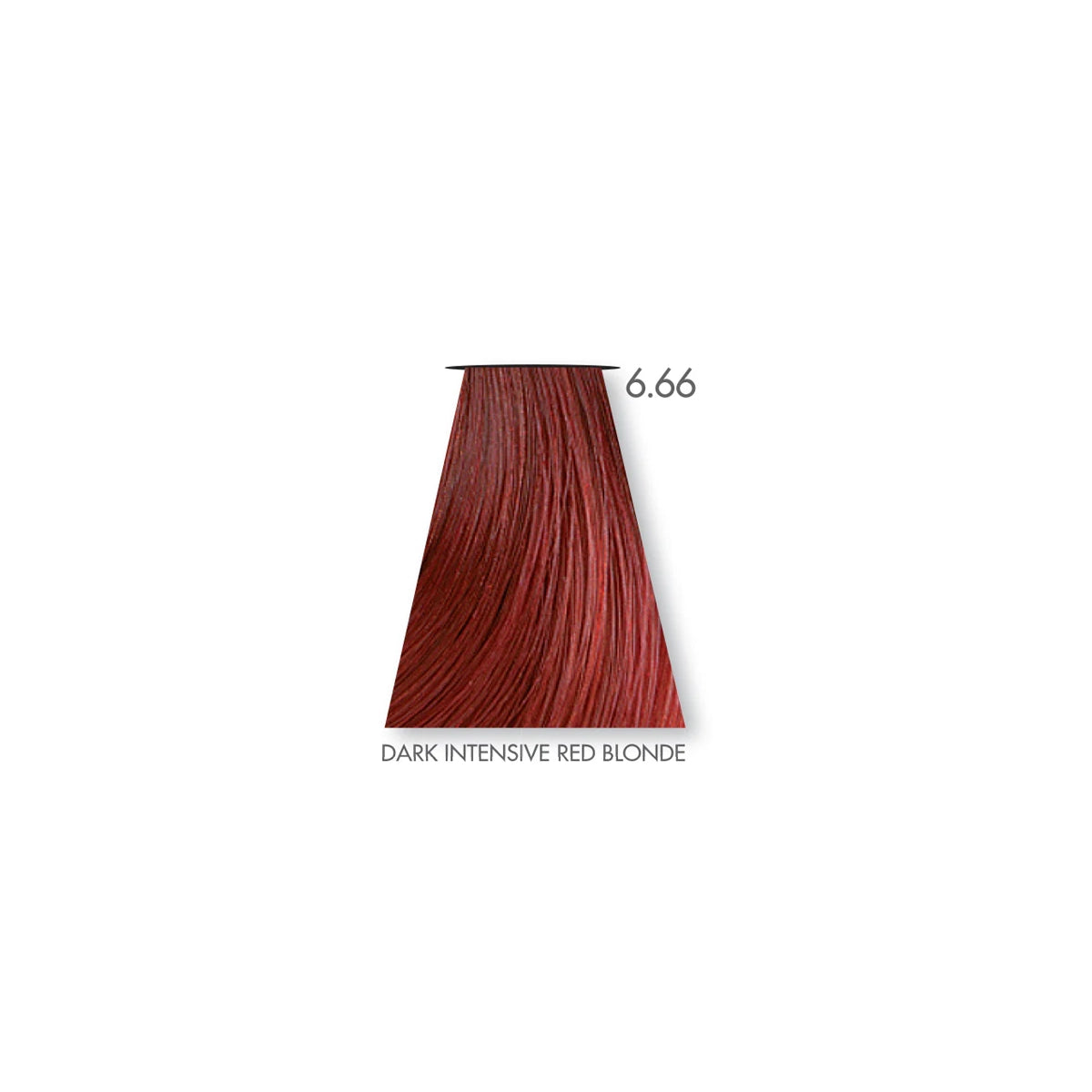 KEUNE TINTA HAIR COLOR 06 Series