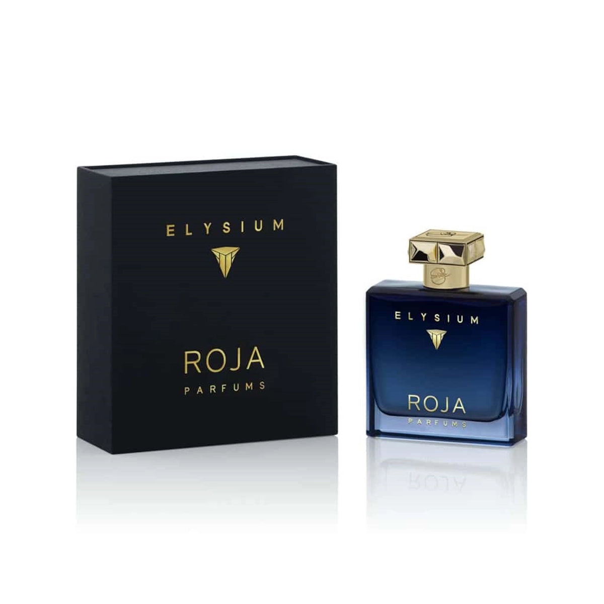 ROJA ELYSIUM POUR HOMME EDP 100ML